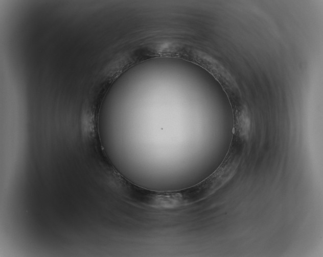 X0000102370571200808011515