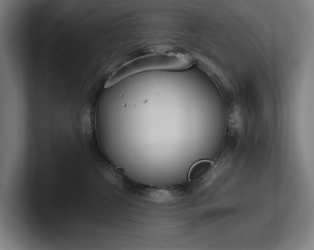X0000102370572200808011515