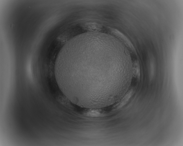 X0000102370573200808011515