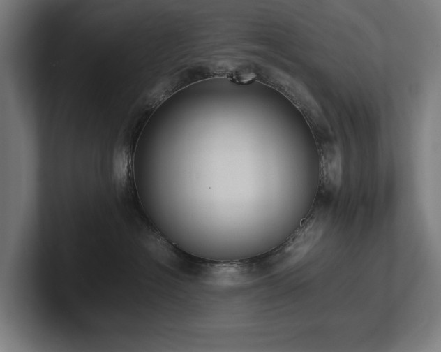 X0000102370574200808011516