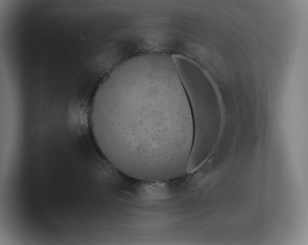 X0000102370576200808011516