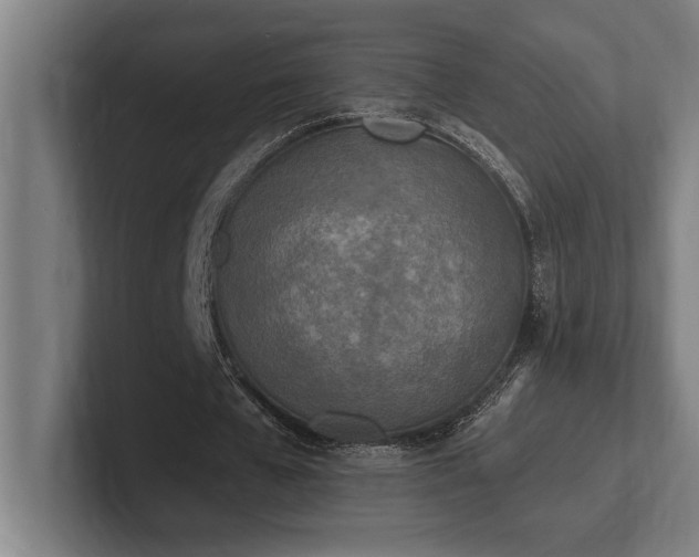 X0000102370577200808011515