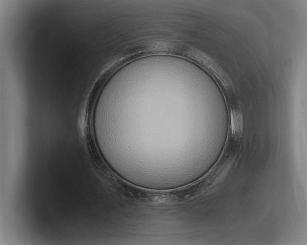 X0000102370579200808011515