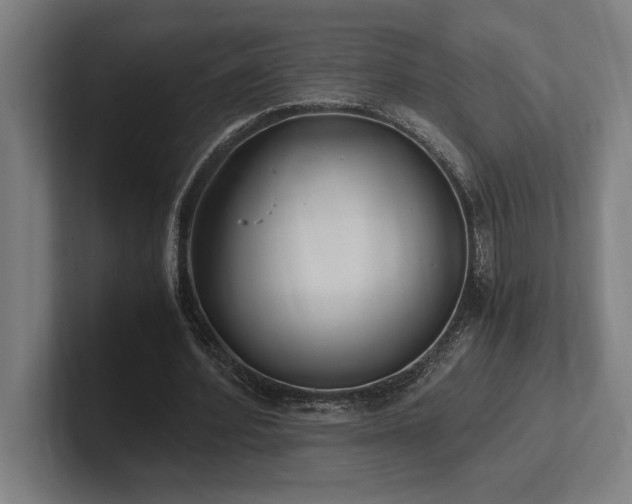 X0000102370580200808011515