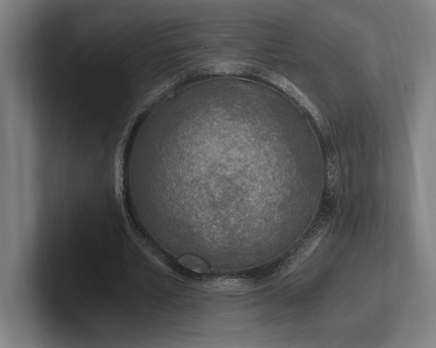 X0000102370581200808011515