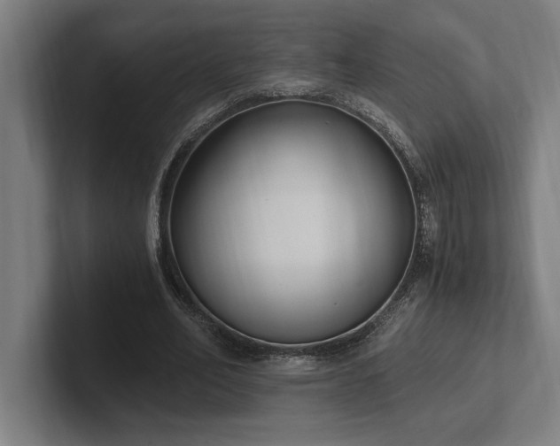 X0000102370582200808011515