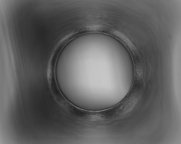 X0000102370583200808011515