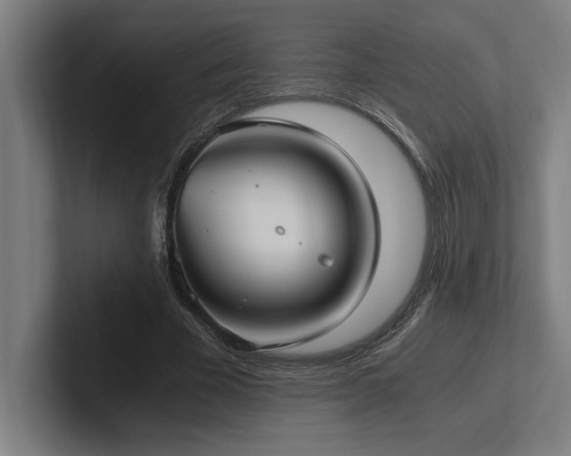 X0000102370585200808011515