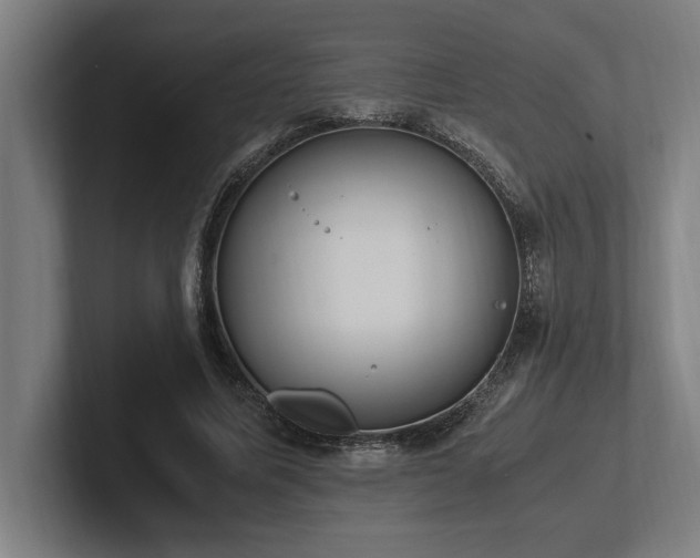 X0000102370587200808011515