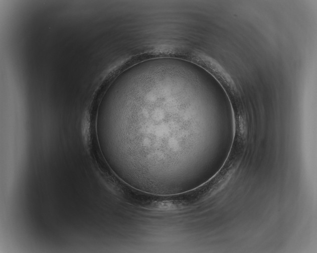 X0000102370588200808011515