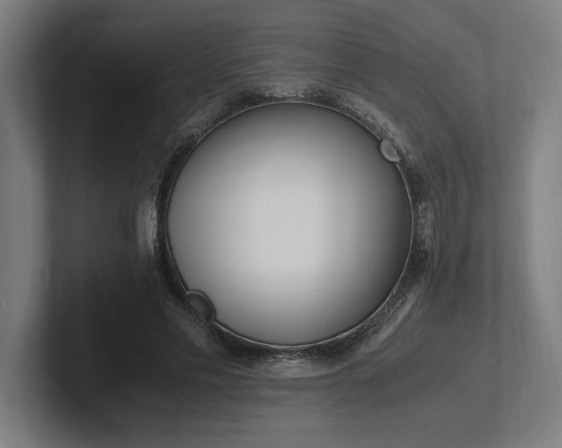 X0000102370589200808011515