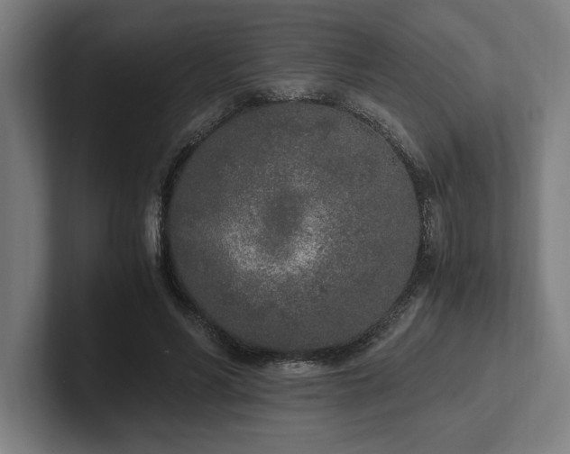 X0000102370590200808011515
