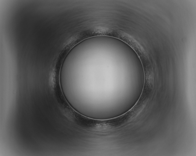 X0000102370591200808011515