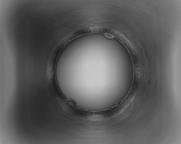 X0000102370593200808011515