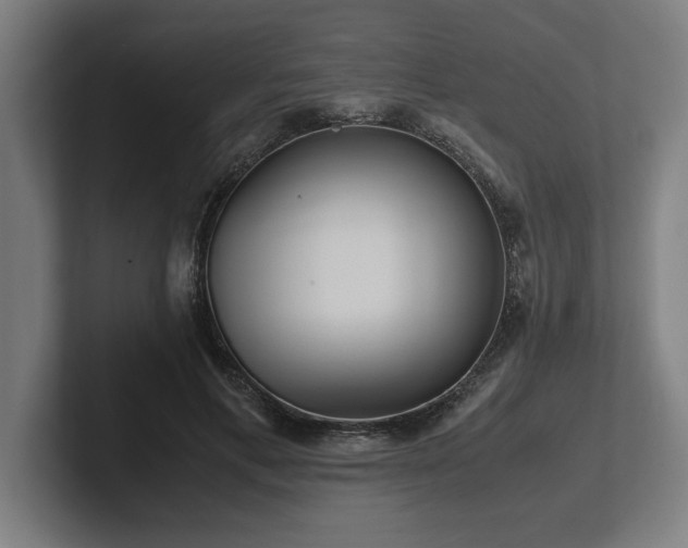 X0000102370597200808011515