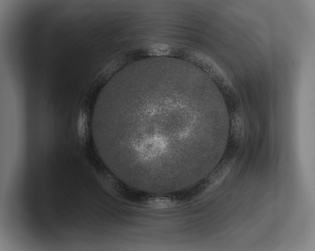 X0000102370598200808011515