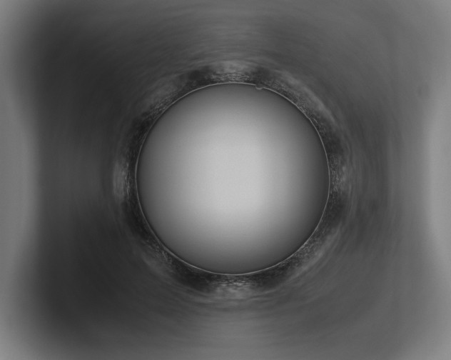 X0000102370599200808011515