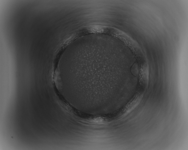 X0000102370600200808011515