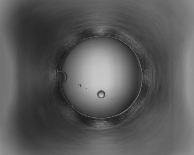 X0000102370605200808011514