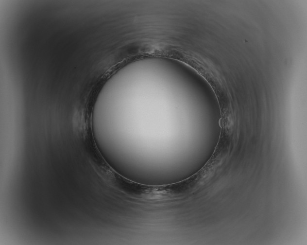 X0000102370607200808011514