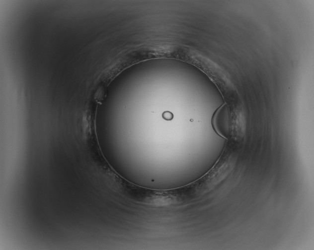 X0000102370608200808011514