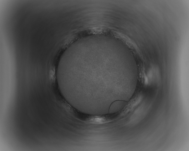 X0000102370610200808011514