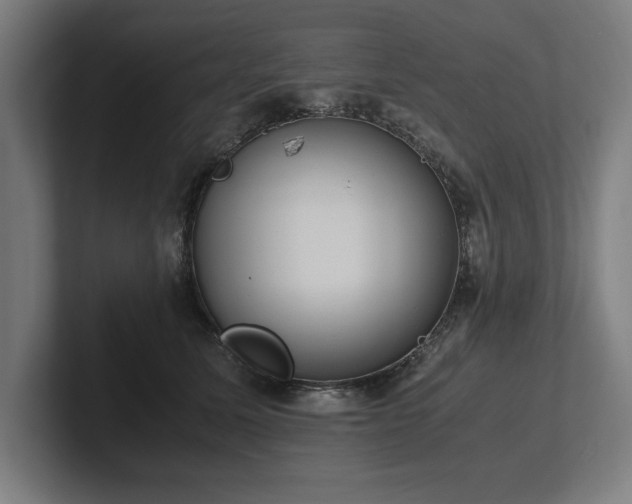 X0000102370611200808011514