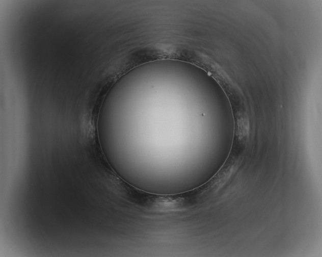 X0000102370613200808011514