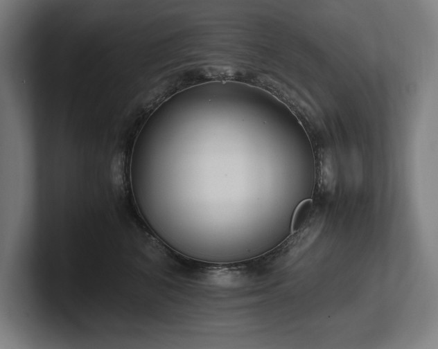 X0000102370616200808011514