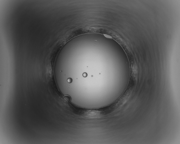 X0000102370617200808011514