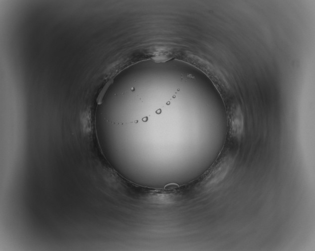 X0000102370620200808011514