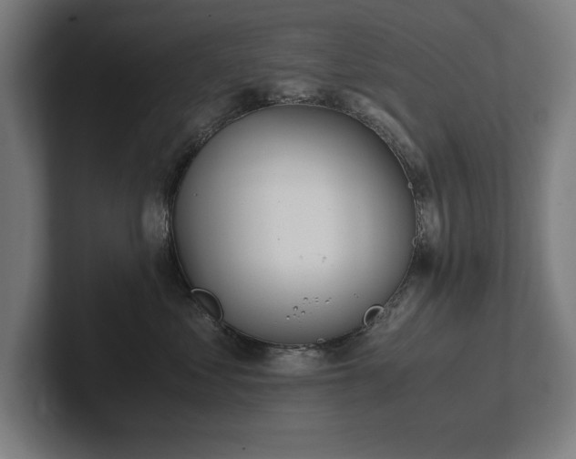 X0000102370621200808011514