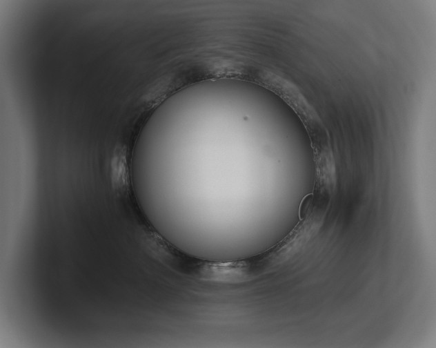 X0000102370622200808011514