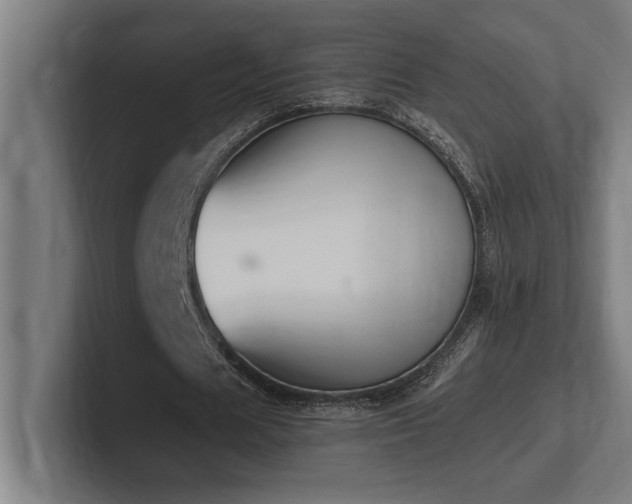 X0000102370625200808011514