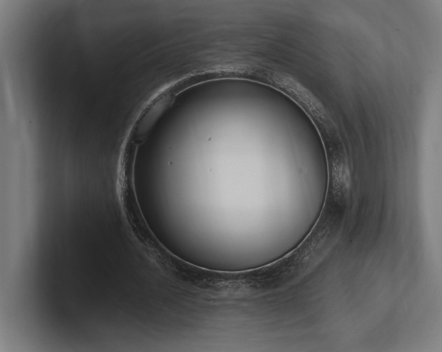 X0000102370628200808011514