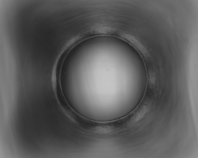 X0000102370630200808011514