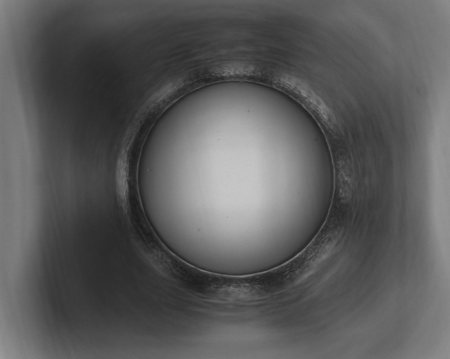 X0000102370631200808011514