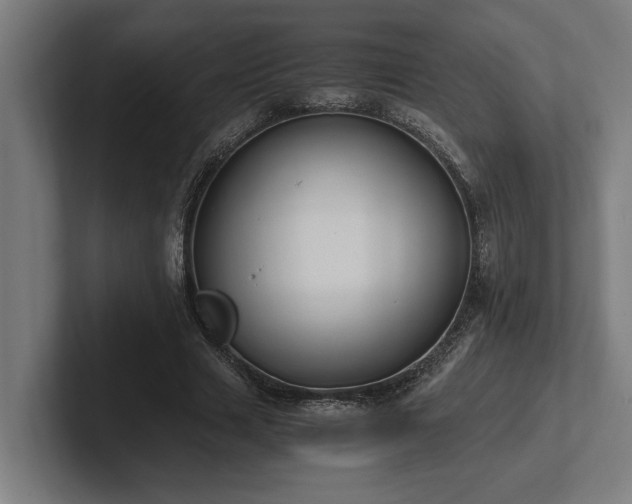 X0000102370633200808011514