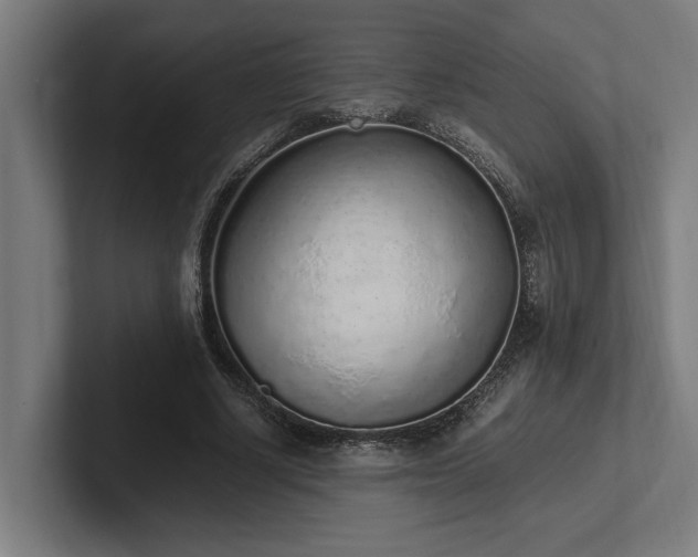 X0000102370634200808011514