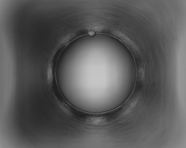 X0000102370638200808011514