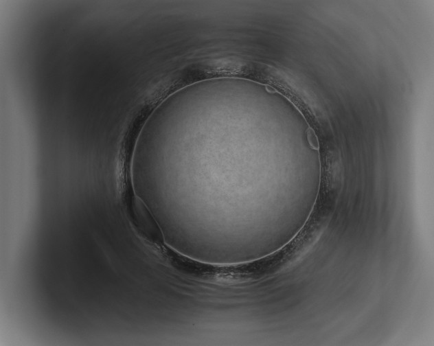 X0000102370641200808011514