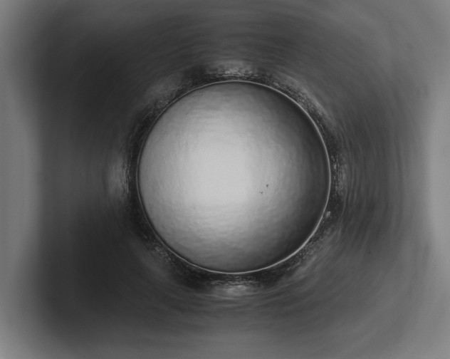 X0000102370643200808011514