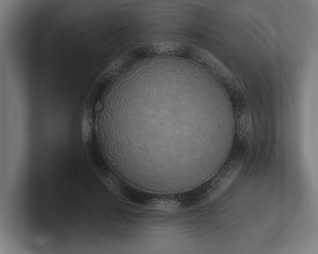 X0000102370644200808011514