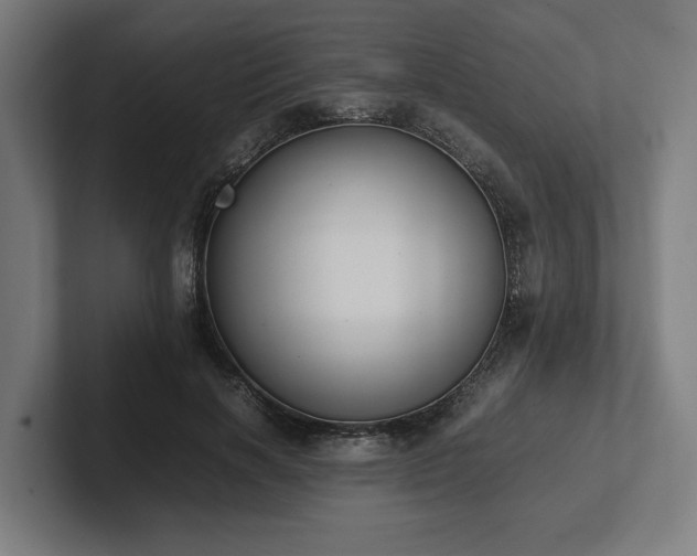 X0000102370646200808011514