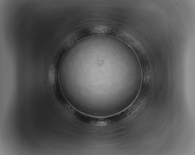 X0000102370647200808011514