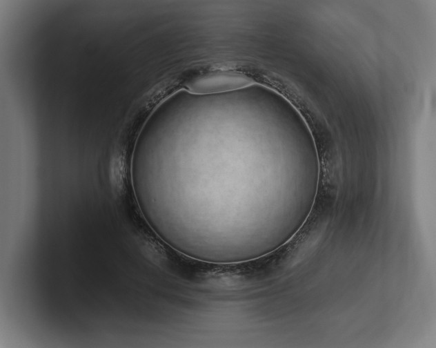 X0000102370648200808011514