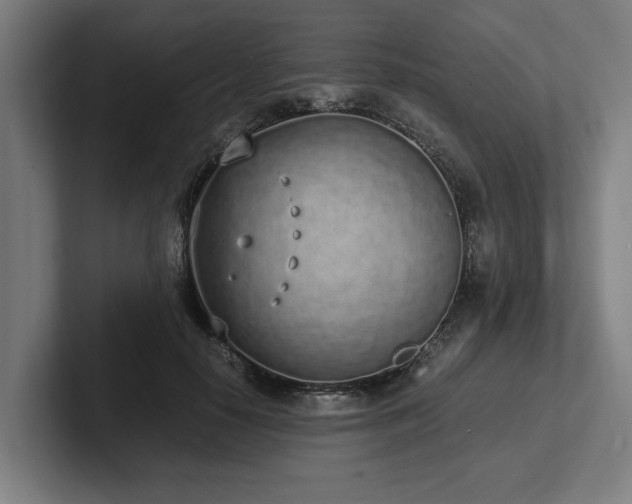 X0000102370650200808011514