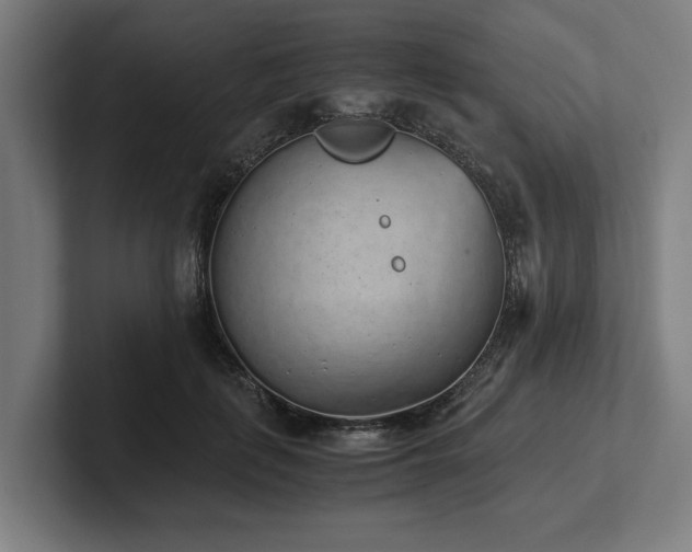 X0000102370651200808011514