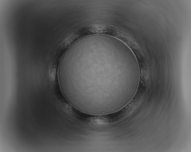 X0000102370652200808011514