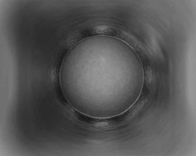 X0000102370653200808011514